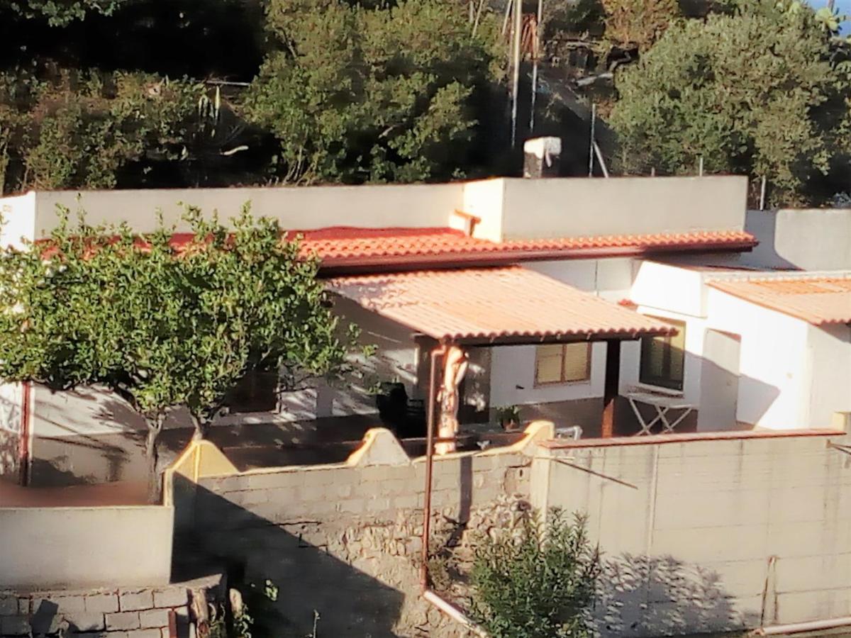 Sa Corte Antiga Nebida Dış mekan fotoğraf