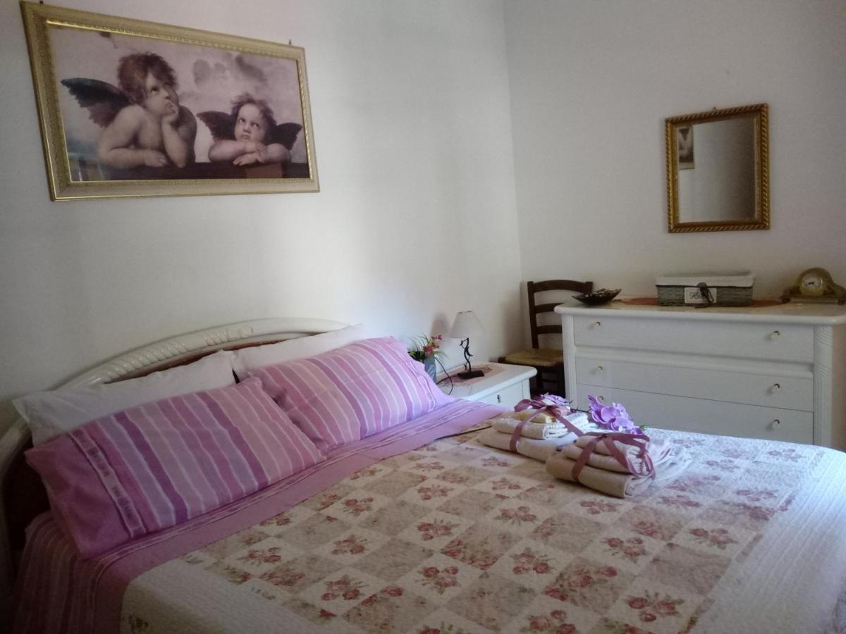 Sa Corte Antiga Nebida Dış mekan fotoğraf