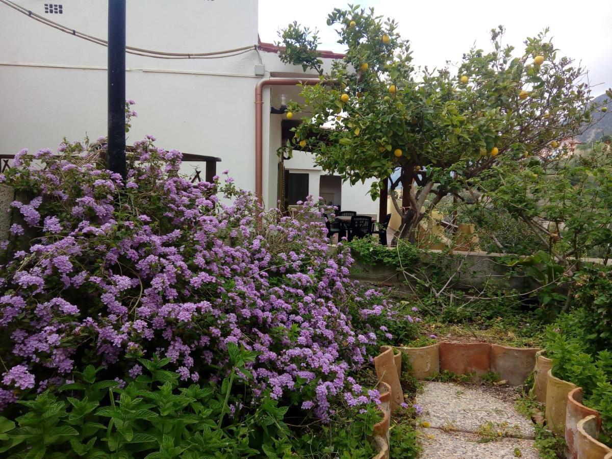 Sa Corte Antiga Nebida Dış mekan fotoğraf